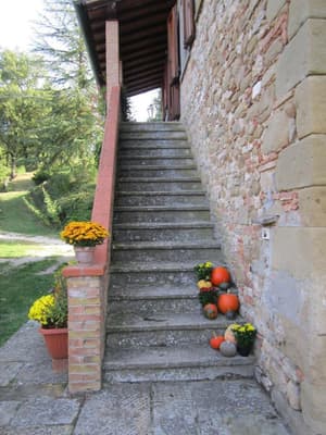 thumbnail: General view