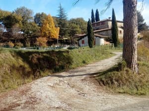 thumbnail: General view