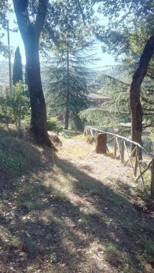 thumbnail: General view
