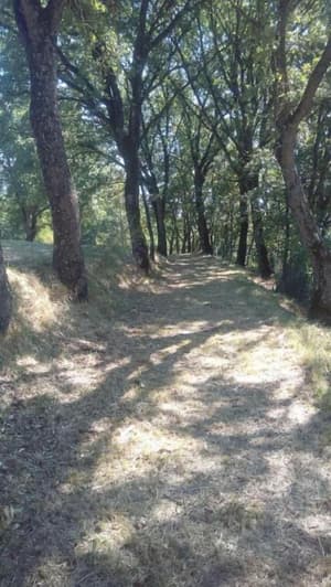 thumbnail: General view