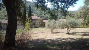 thumbnail: General view