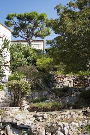 thumbnail: Garden