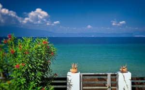 thumbnail: View from room