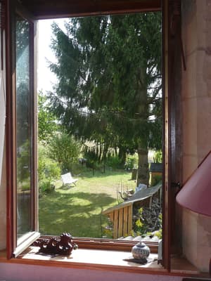 thumbnail: Garden view