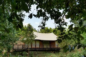 thumbnail: Terrace/patio