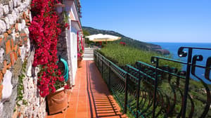 thumbnail: Terrace/patio