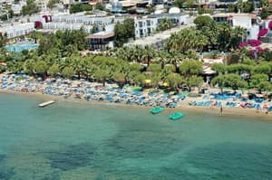 thumbnail: Aerial view