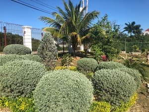 thumbnail: Exterior
