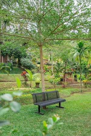 thumbnail: BBQ/picnic area