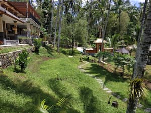 thumbnail: Garden view
