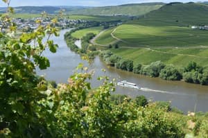 thumbnail: General view