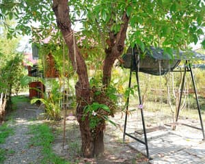 thumbnail: General view