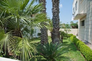 thumbnail: Garden