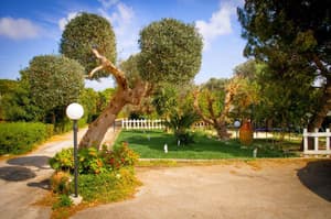 thumbnail: General view