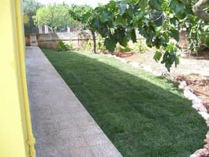 thumbnail: General view