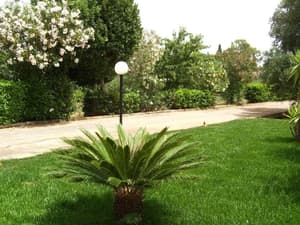 thumbnail: General view