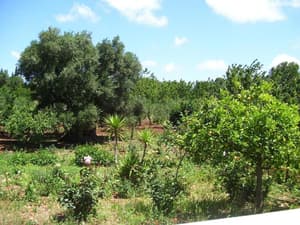 thumbnail: General view
