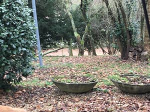 thumbnail: Garden