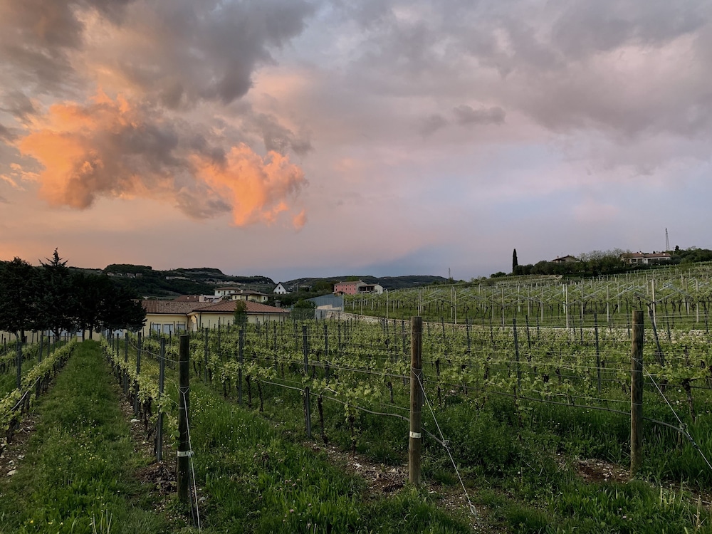 Land view from property