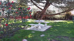 thumbnail: BBQ/picnic area