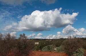 thumbnail: View from property