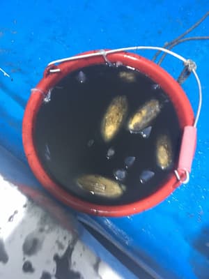 thumbnail: Fishing