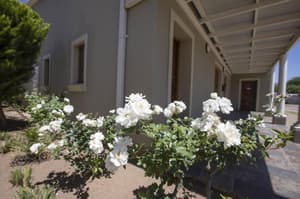 thumbnail: General view