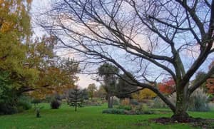thumbnail: Property grounds