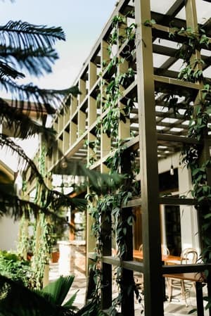 thumbnail: Exterior