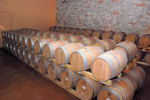 thumbnail: Winery
