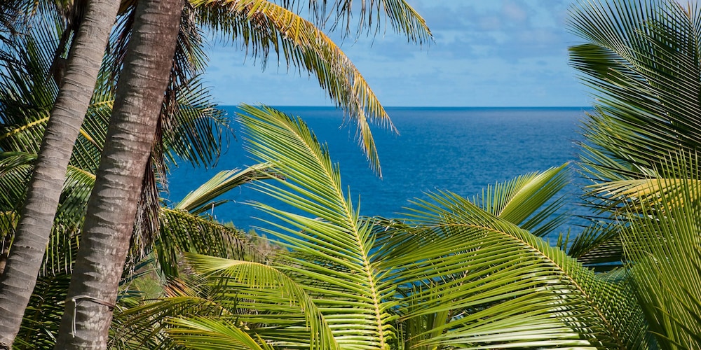 Beach/ocean view