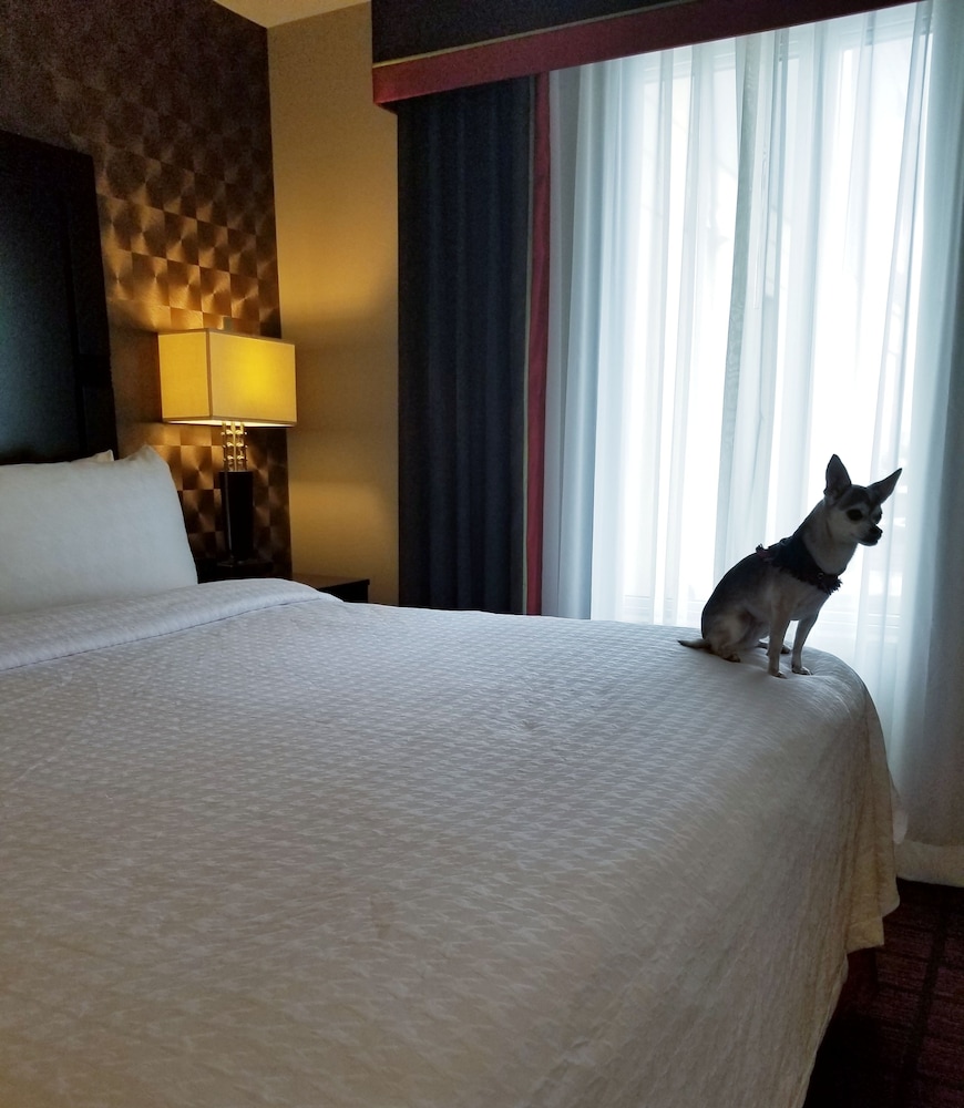 Pet-friendly