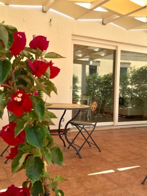 thumbnail: Terrace/patio