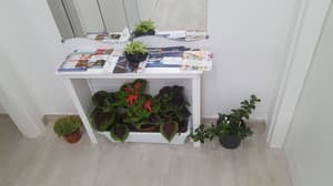 thumbnail: Interior entrance