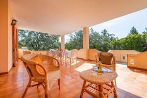 thumbnail: Terrace/patio