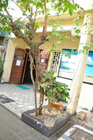 thumbnail: 120395329.jpg