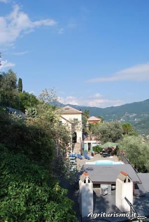 thumbnail: Exterior