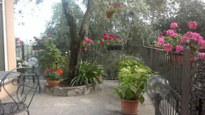 thumbnail: Garden