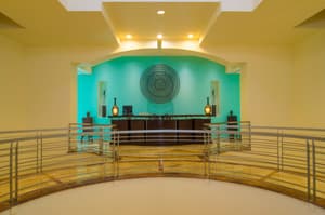 thumbnail: Spa reception