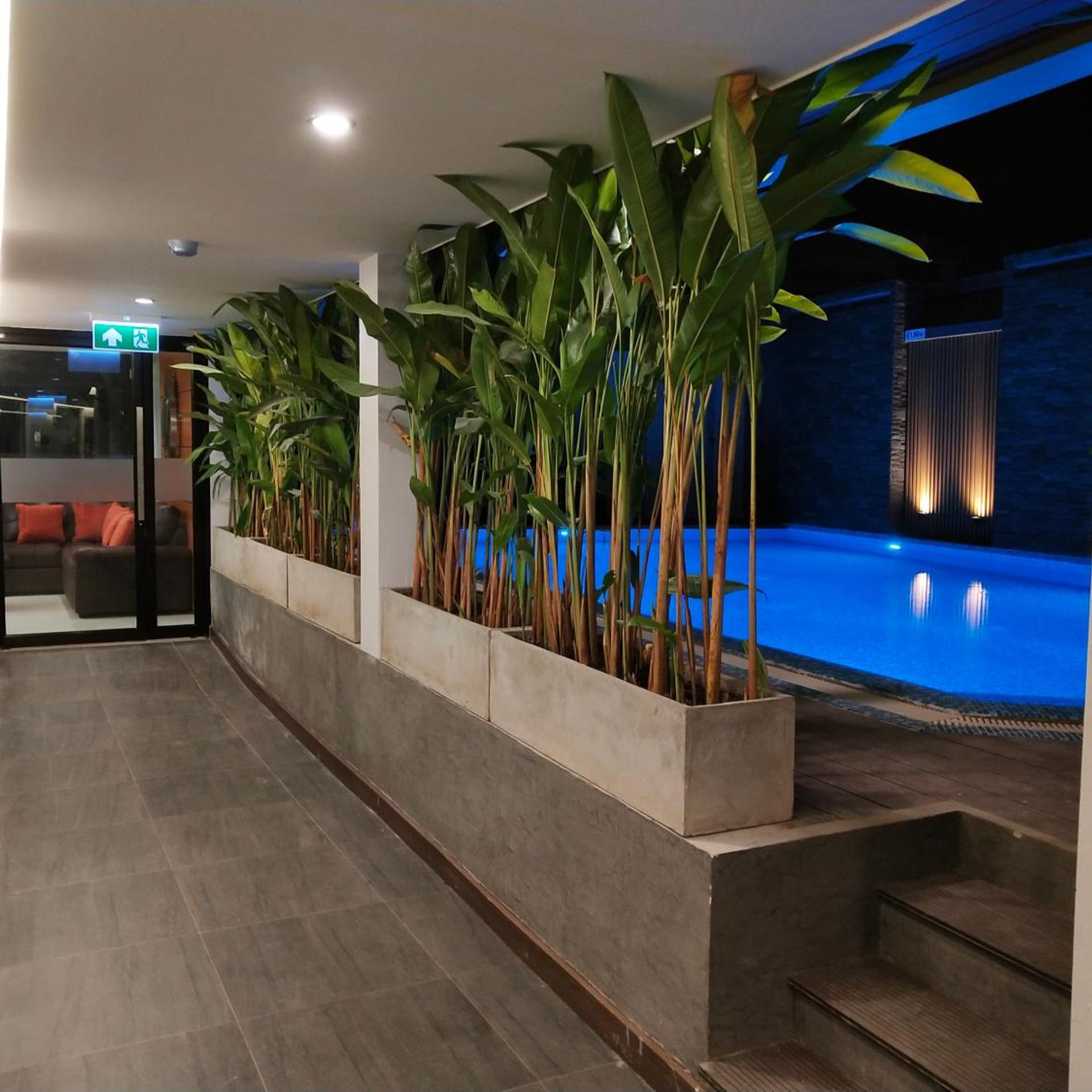 Swimming pool-spa