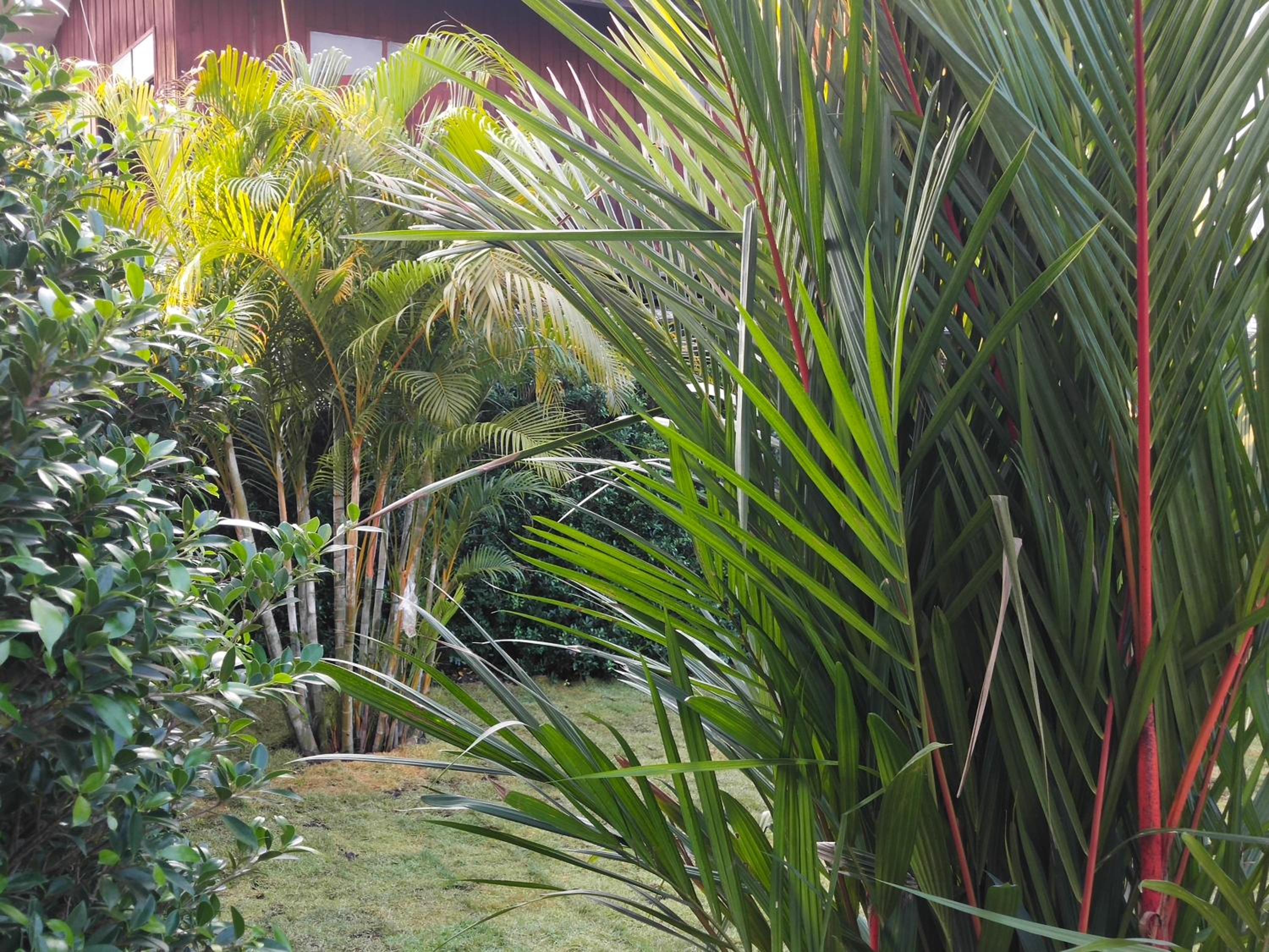 Surroundings