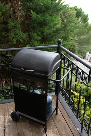 thumbnail: BBQ/picnic area