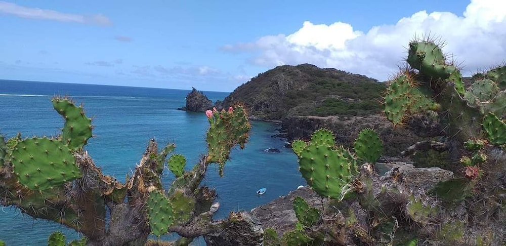 Ecotours