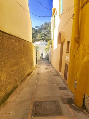 thumbnail: Street view