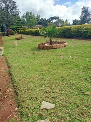 thumbnail: Garden