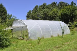 thumbnail: General view