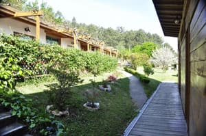 thumbnail: General view