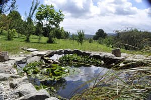 thumbnail: General view