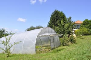 thumbnail: General view