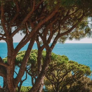 thumbnail: View from room